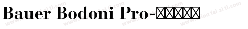 Bauer Bodoni Pro字体转换